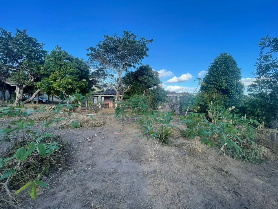 Imagens do imóveis Chácara à venda brejinho apenas 7 km da Duque de Caxias