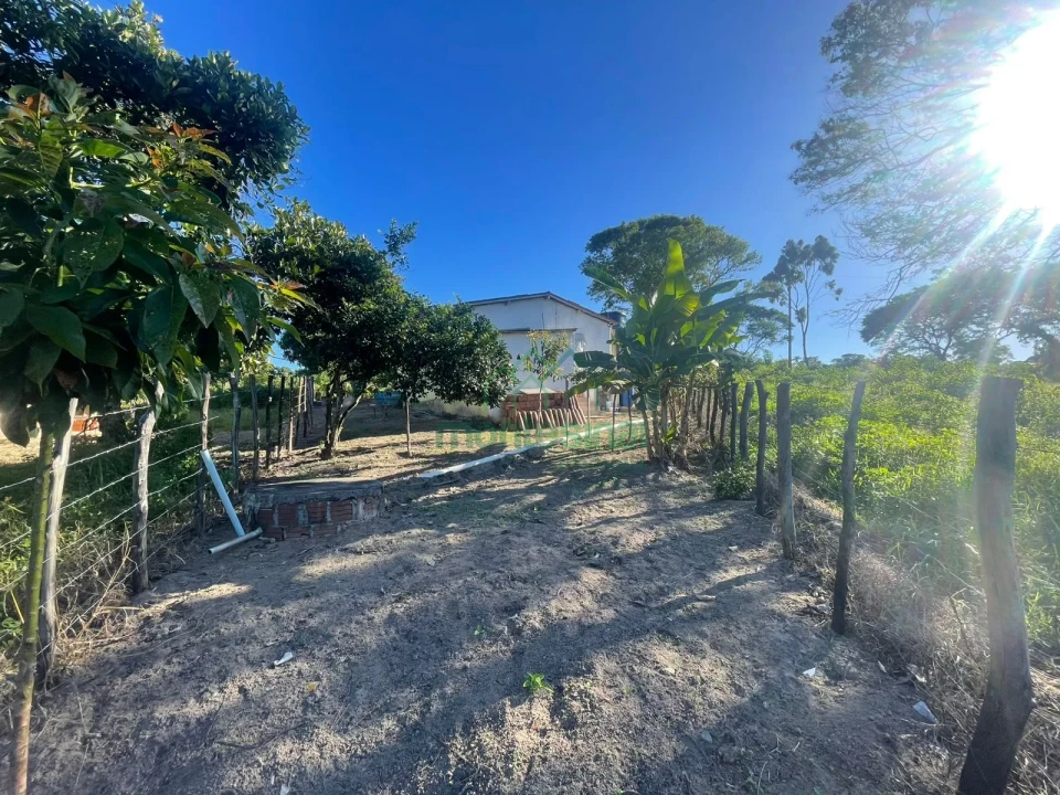 Fazenda/Sítios/Chácaras À Venda Zona Rural Brejão