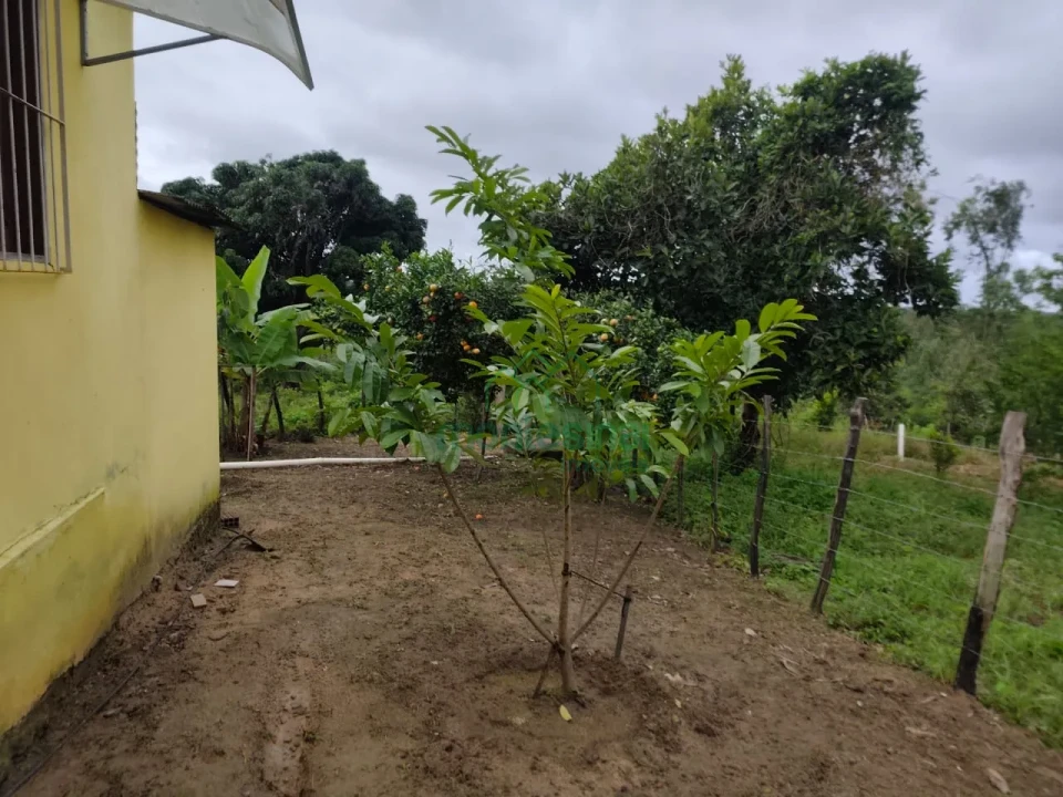 Imagens do imóveis Fazenda/Sítios/Chácaras À Venda Zona Rural Brejão