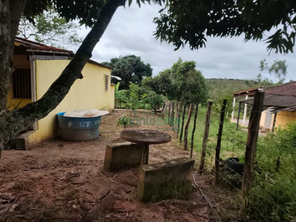 Imagens do imóveis Fazenda/Sítios/Chácaras À Venda Zona Rural Brejão