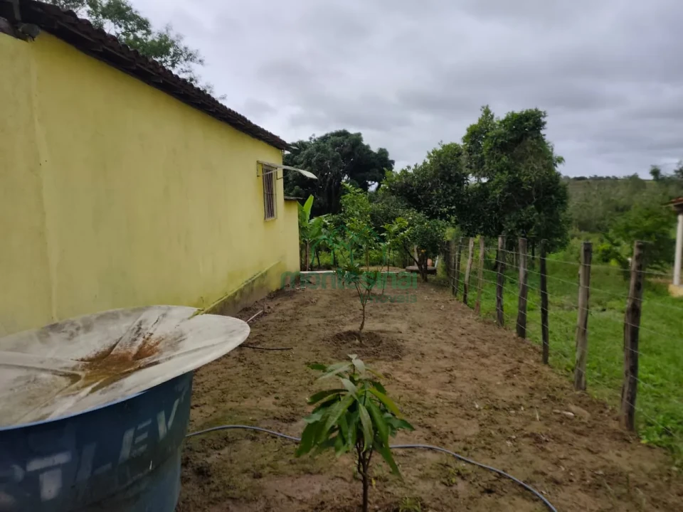 Imagens do imóveis Fazenda/Sítios/Chácaras À Venda Zona Rural Brejão