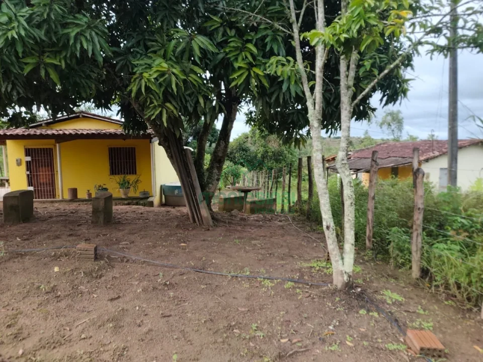 Imagens do imóveis Fazenda/Sítios/Chácaras À Venda Zona Rural Brejão