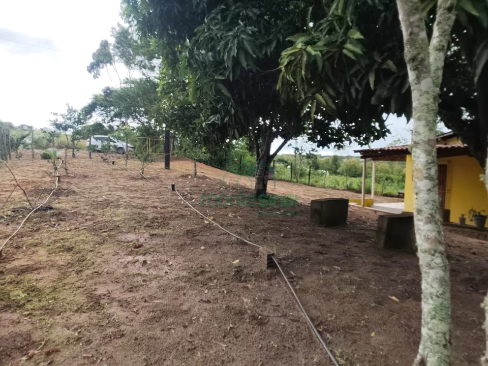 Imagens do imóveis Fazenda/Sítios/Chácaras À Venda Zona Rural Brejão