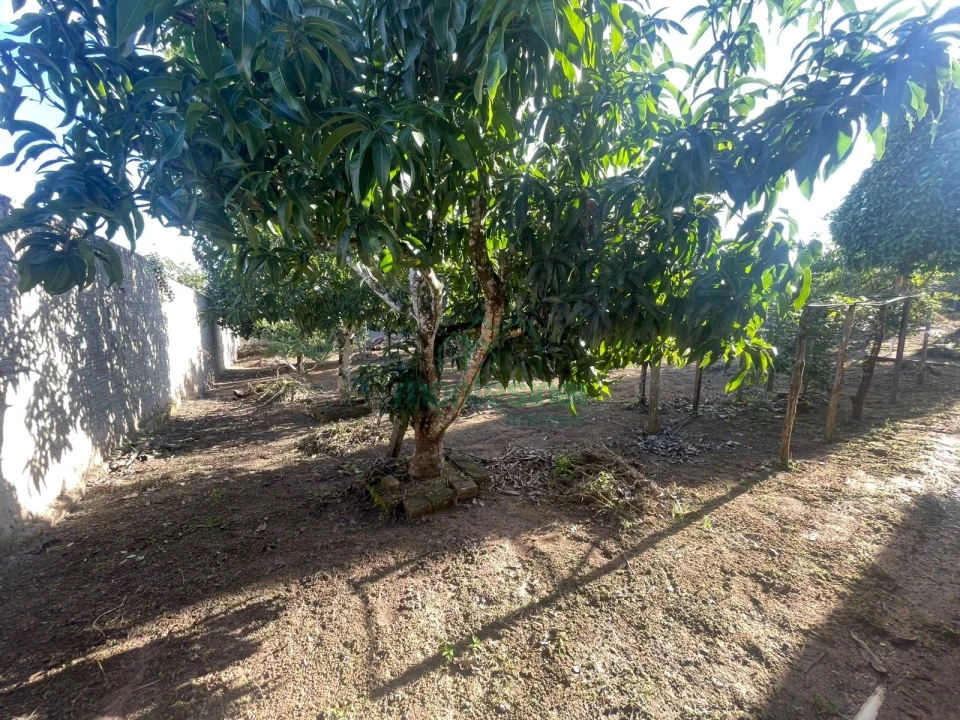 Imagens do imóveis Chácara à venda brejinho apenas 7 km da Duque de Caxias