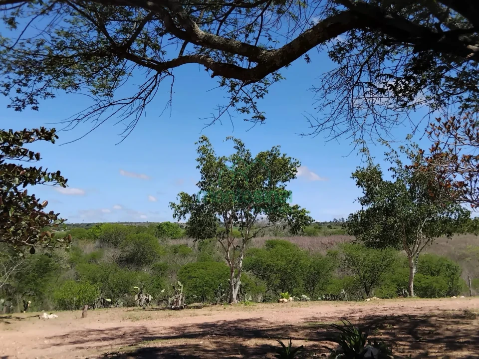 Imagens do imóveis Fazenda/Sítios/Chácaras À Venda Sitio Pedra Comprida Jucati