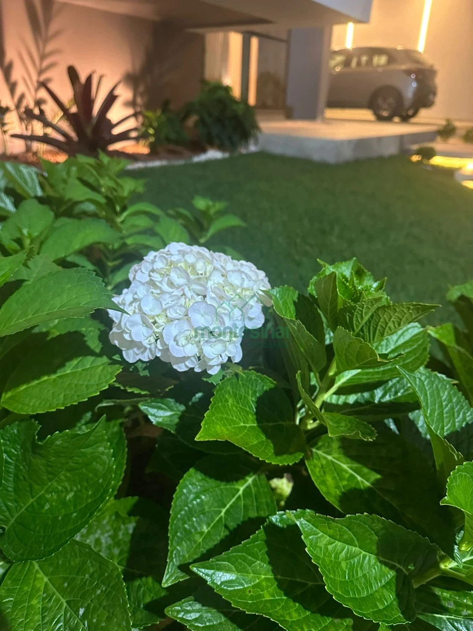Imagens do imóveis Casa À Venda Boa Vista Garanhuns