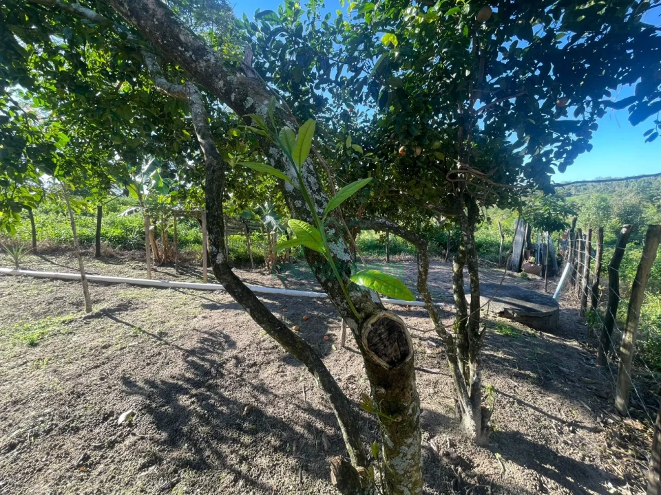 Fazenda/Sítios/Chácaras À Venda Zona Rural Brejão