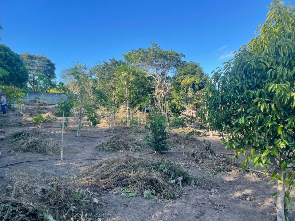 Imagens do imóveis Chácara à venda brejinho apenas 7 km da Duque de Caxias