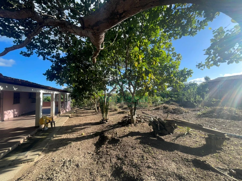 Imagens do imóveis Chácara à venda brejinho apenas 7 km da Duque de Caxias