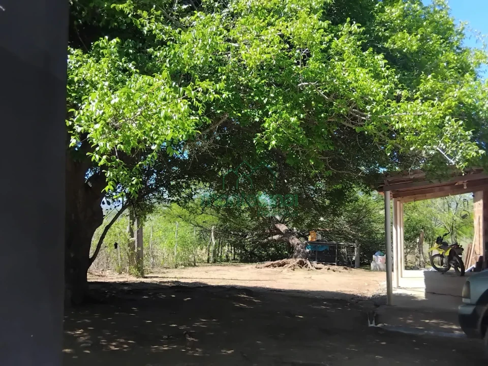 Imagens do imóveis Fazenda/Sítios/Chácaras À Venda Sitio Pedra Comprida Jucati