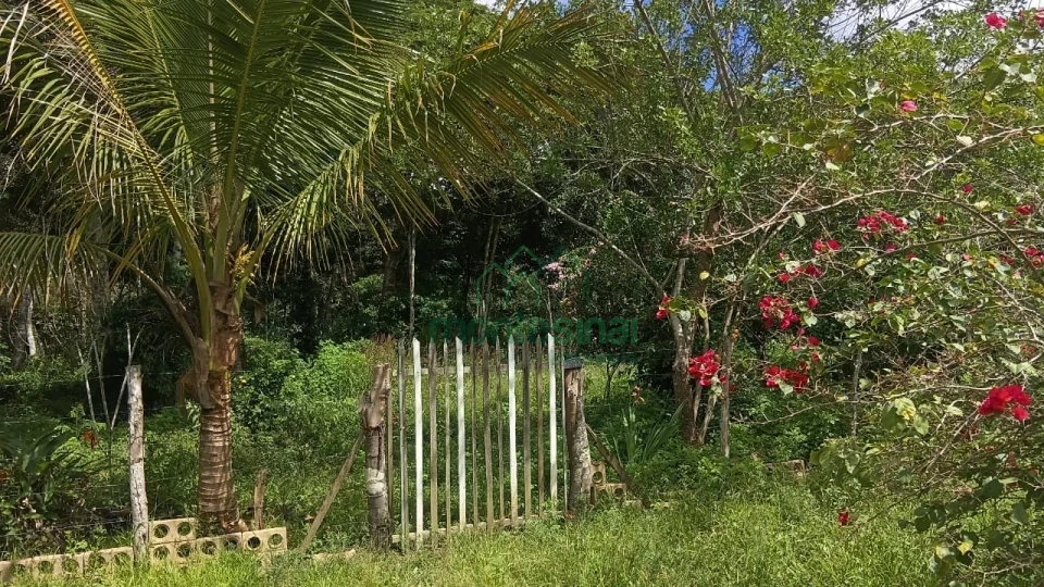 Imagens do imóveis Temos lotes a partir de 1.000 m² para você construir sua chácara e aproveitar momentos especiais com sua família!