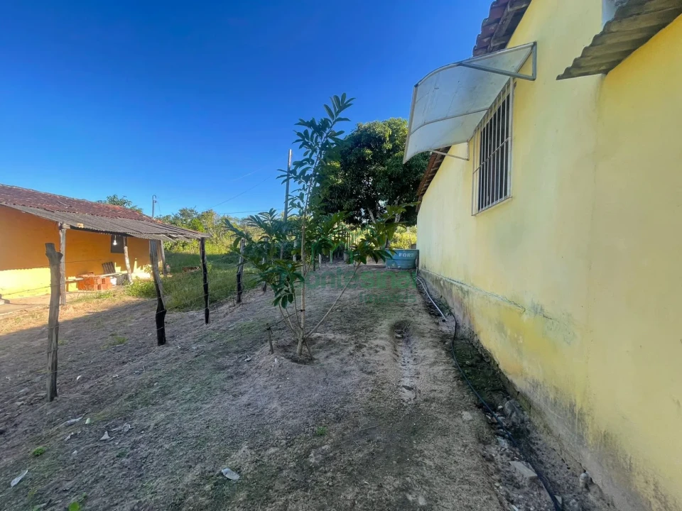 Fazenda/Sítios/Chácaras À Venda Zona Rural Brejão