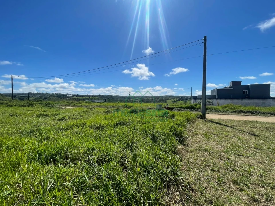 Terreno À Venda Francisco Figueira Garanhuns