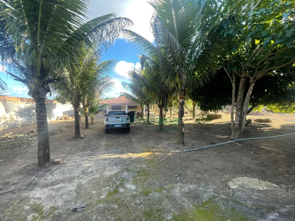 Imagens do imóveis Chácara à venda brejinho apenas 7 km da Duque de Caxias