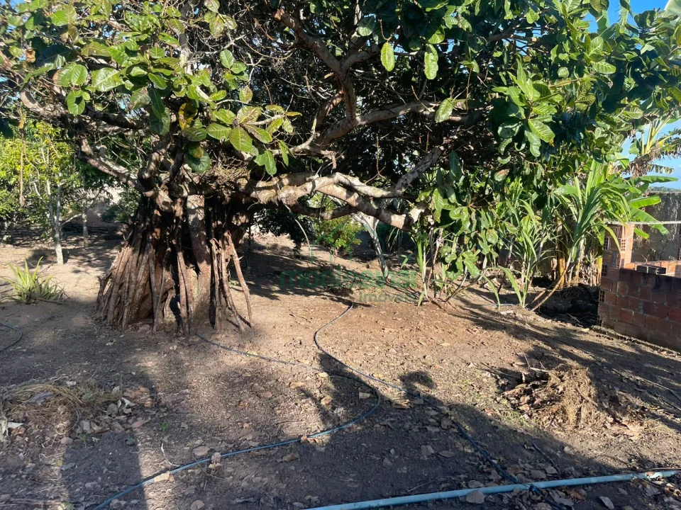 Imagens do imóveis Chácara à venda brejinho apenas 7 km da Duque de Caxias