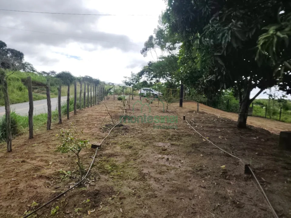 Imagens do imóveis Fazenda/Sítios/Chácaras À Venda Zona Rural Brejão