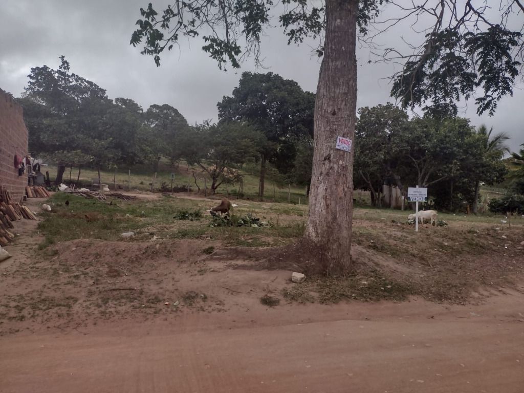 Imagens do imóveis Terreno à venda, 300 m² por R$ 12.000,00 - Miracica - Garanhuns/PE