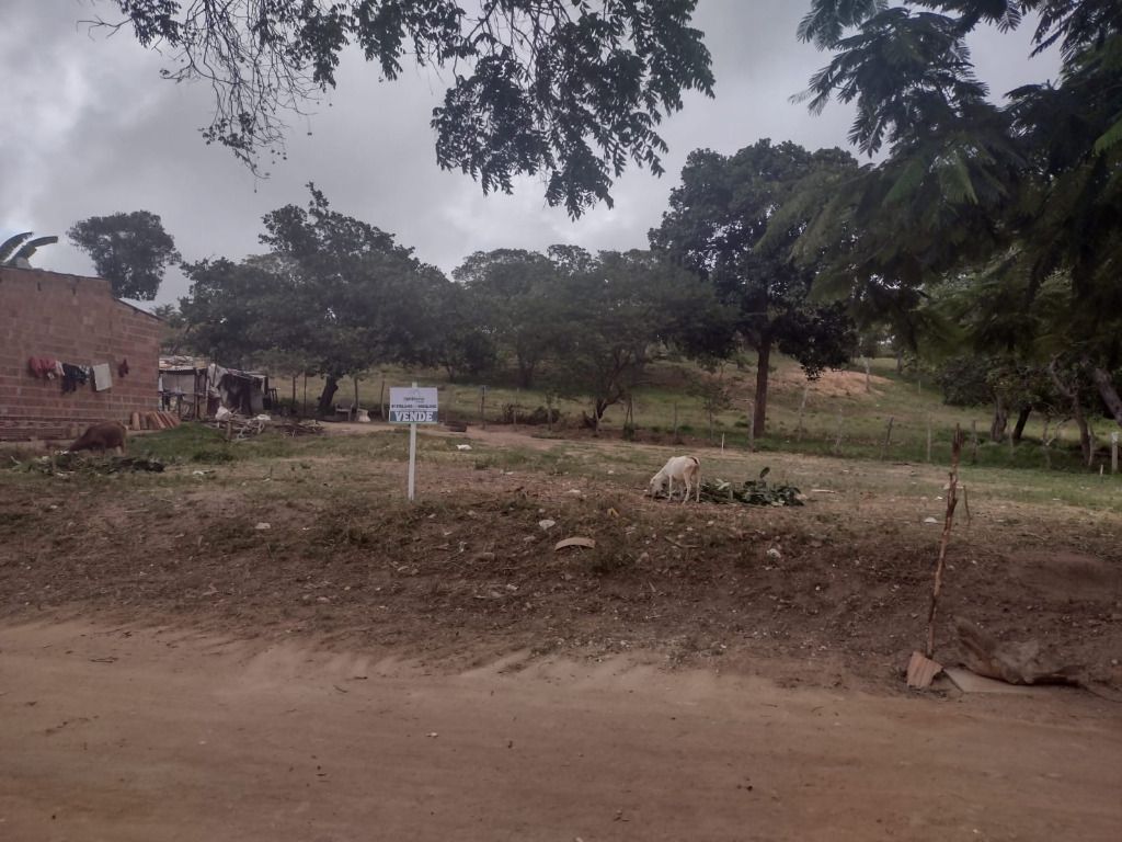 Imagens do imóveis Terreno à venda, 300 m² por R$ 12.000,00 - Miracica - Garanhuns/PE
