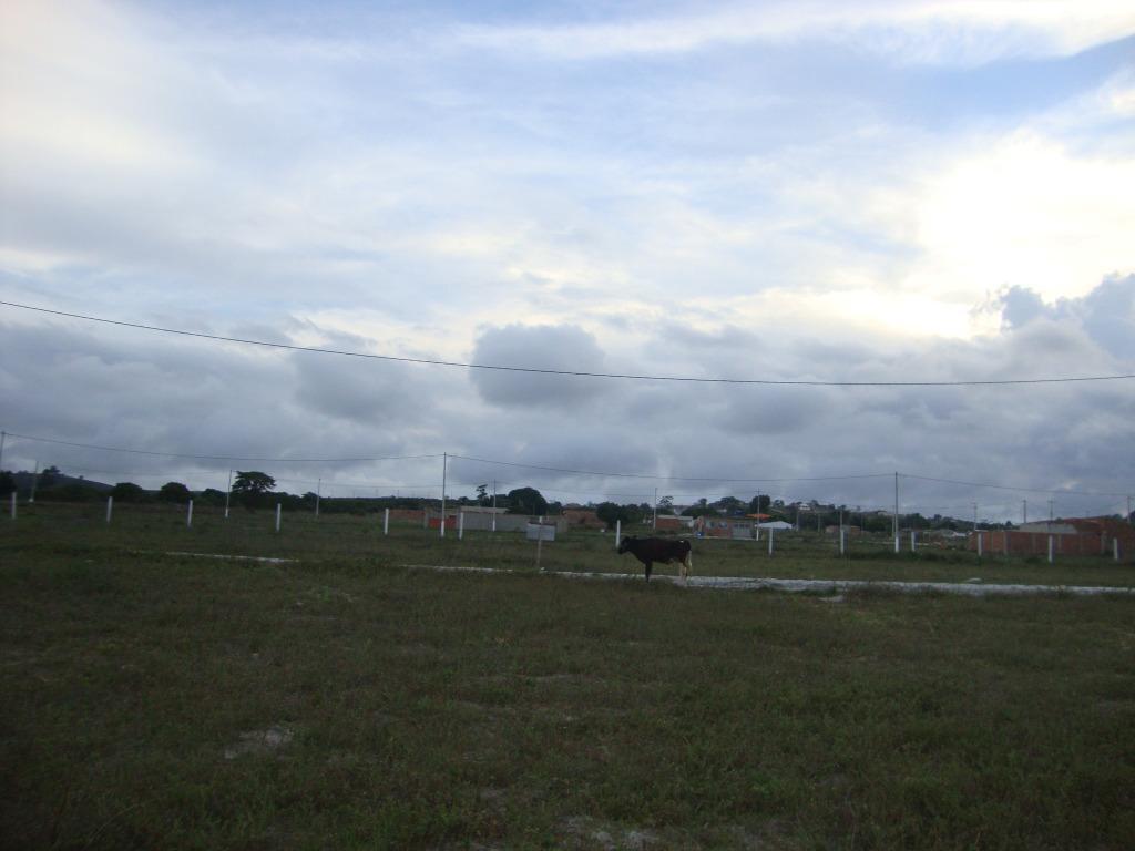 Imagens do imóveis Terreno à venda, 200 m² por R$ 33.000,00 - Loteamento São Mateus - Garanhuns/PE