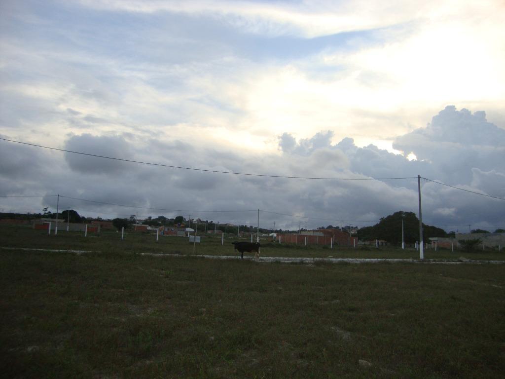 Imagens do imóveis Terreno à venda, 200 m² por R$ 33.000,00 - Loteamento São Mateus - Garanhuns/PE