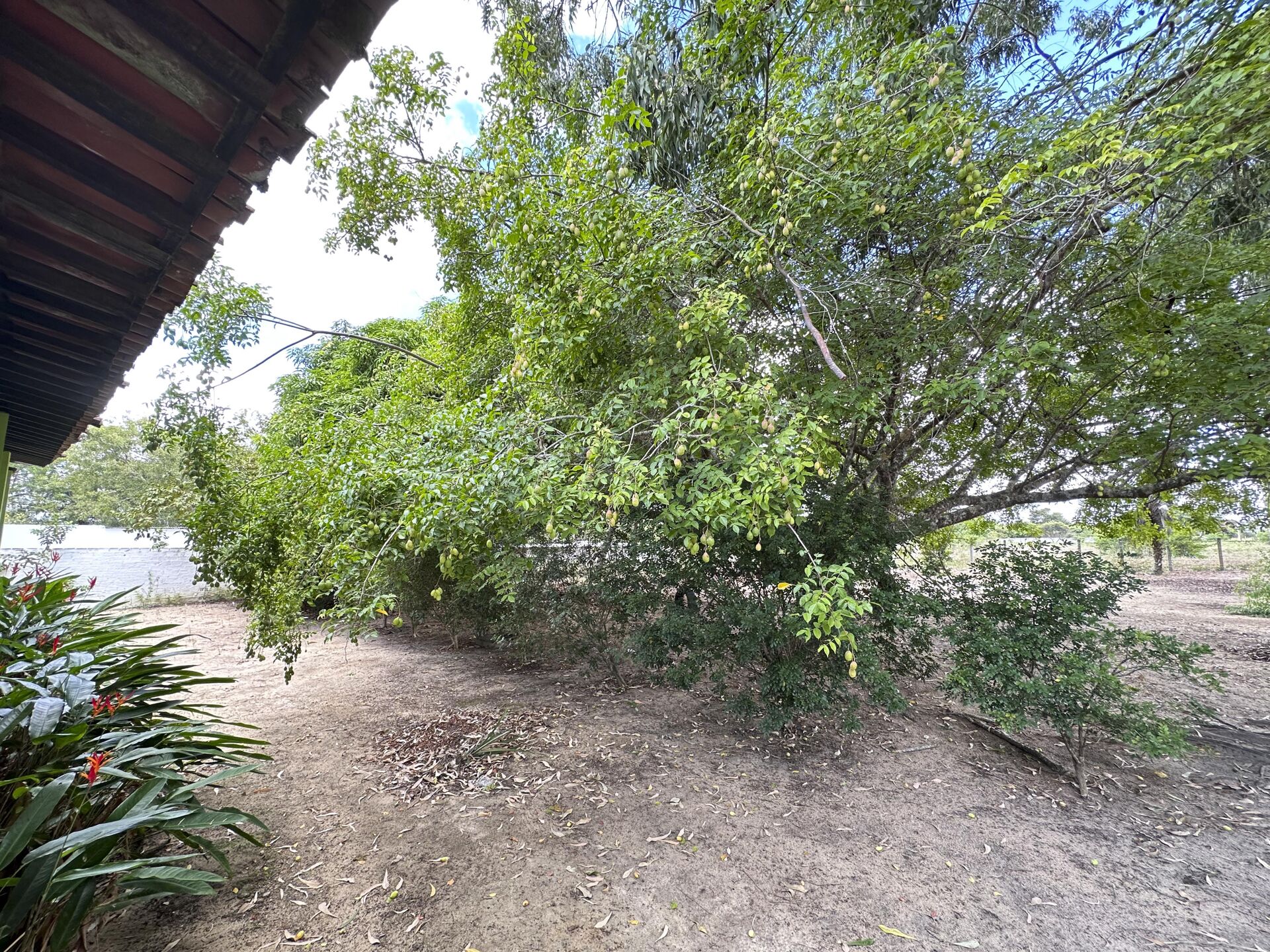 Chácara á venda com 1.8 hectares por R$ 1.200.000,00 Sitio Cagado