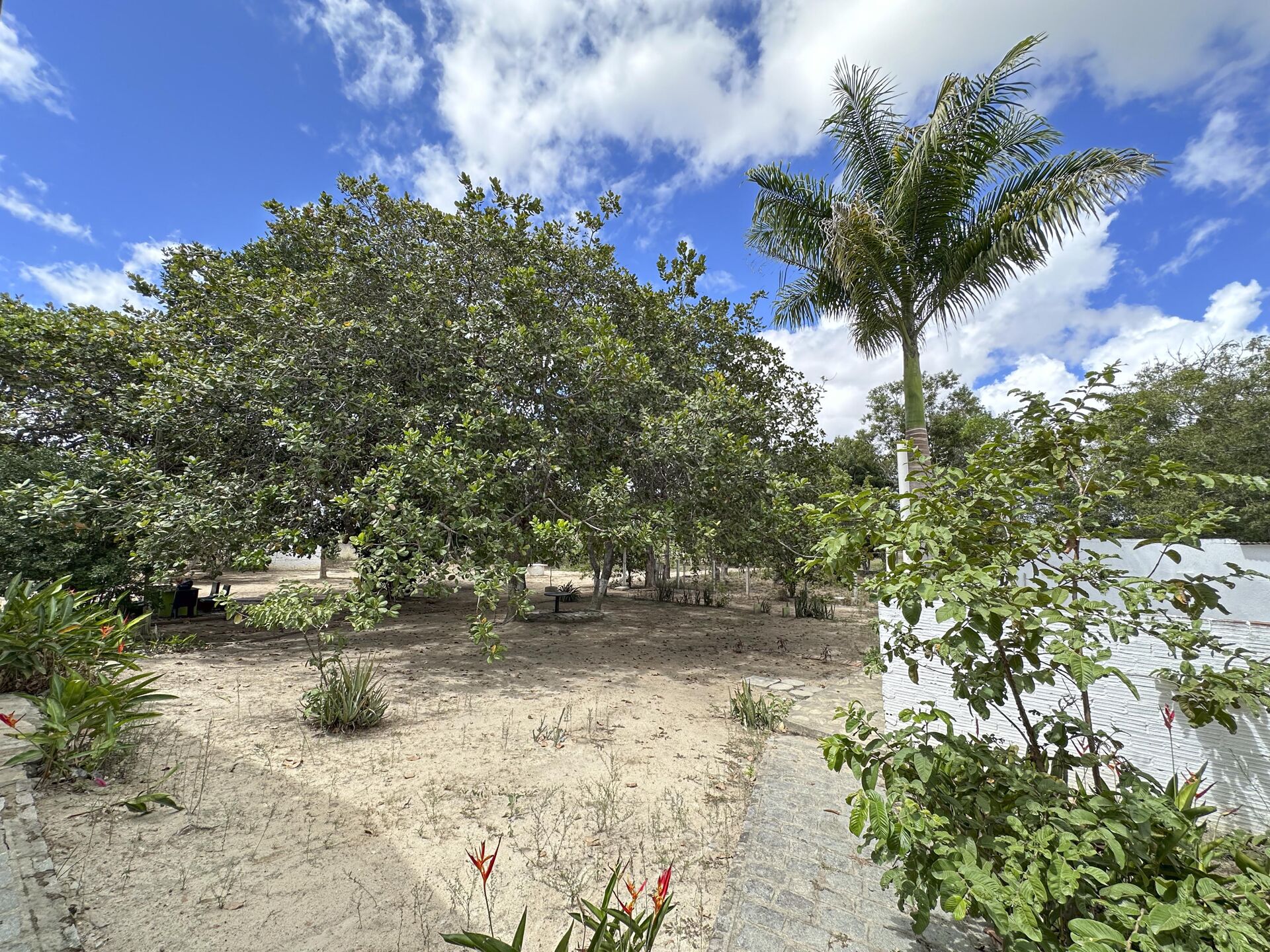 Chácara á venda com 1.8 hectares por R$ 1.200.000,00 Sitio Cagado