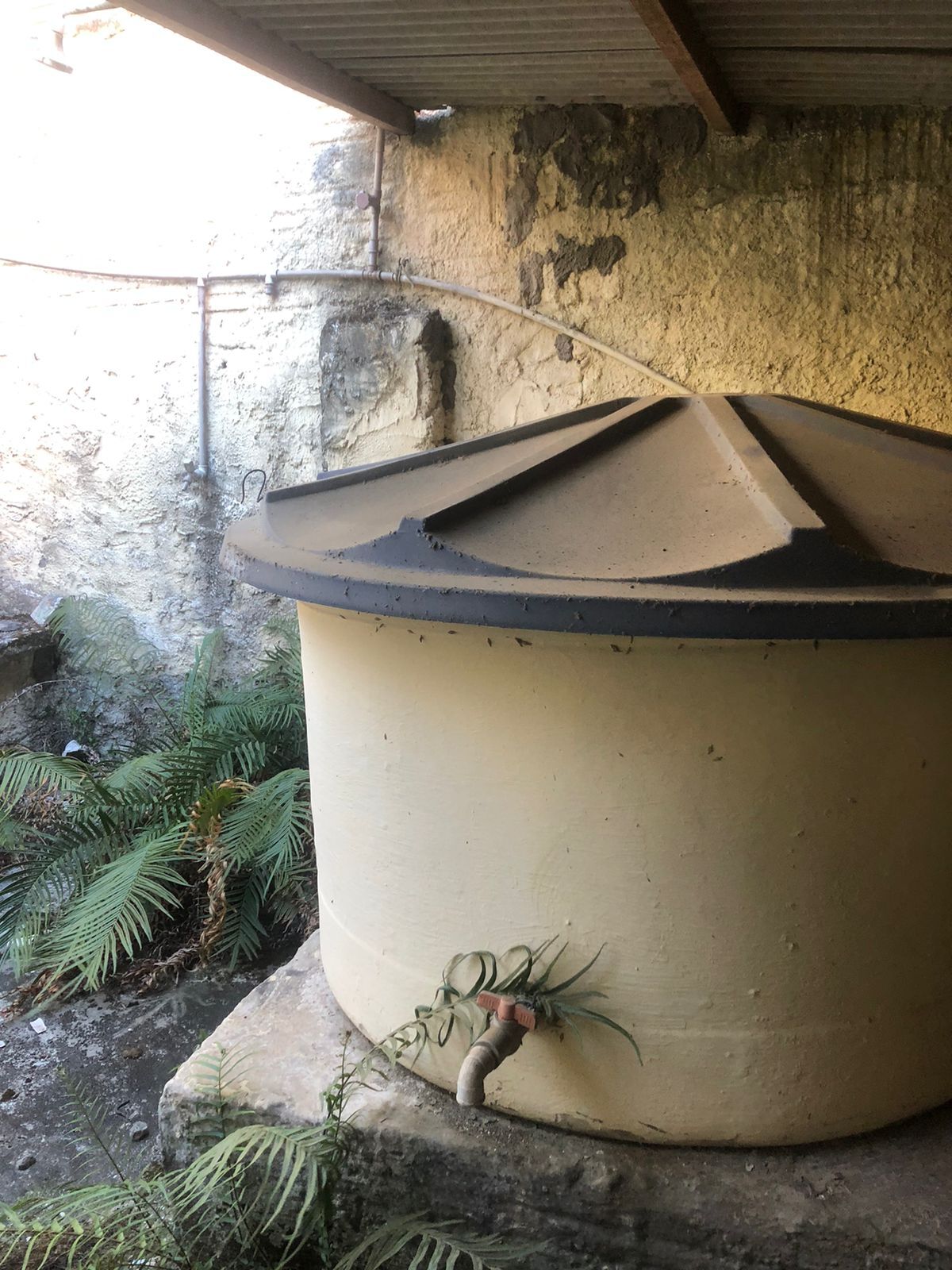 Imagens do imóveis Casa à venda Padrão Boa Vista R$200.000,00 Garanhuns-PE