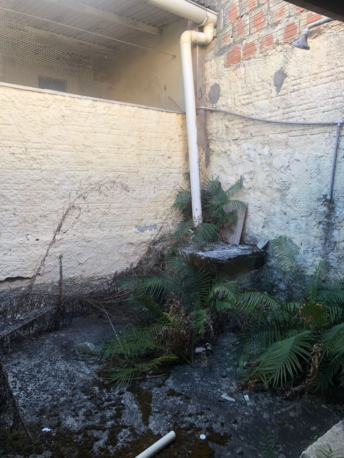 Imagens do imóveis Casa à venda Padrão Boa Vista R$200.000,00 Garanhuns-PE