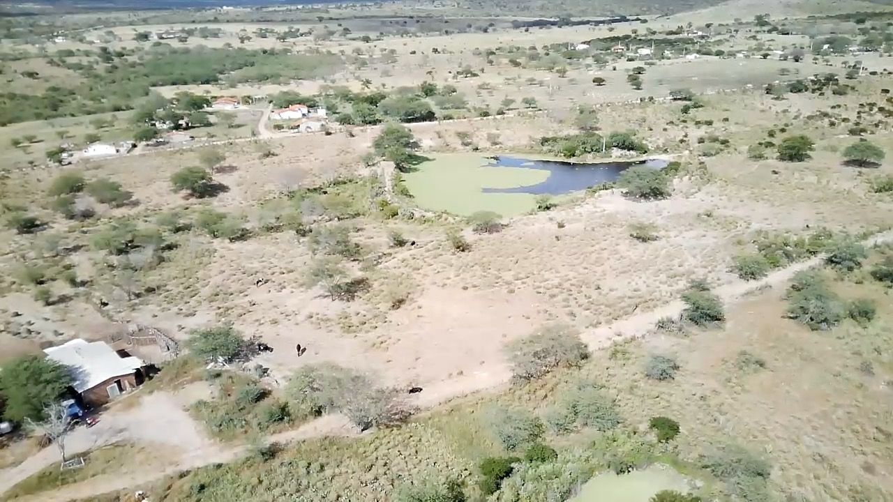 Imagens do imóveis Fazenda à venda por R$765.400,00 em IATI-PE