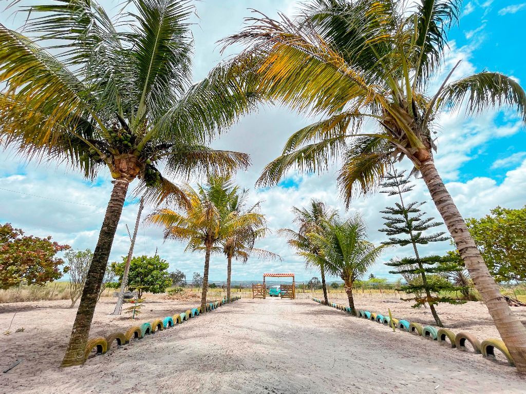 Imagens do imóveis Chácara com 3  quartos à venda, 2000 m² por R$ R$ 350.000,00 - Zona Rural - Garanhuns/PE