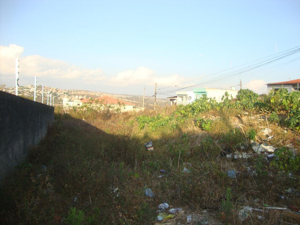Terreno residencial à venda, Boa Vista, Garanhuns.
