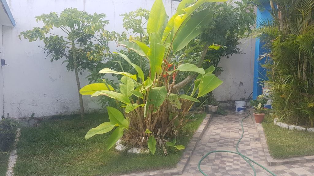 Imagens do imóveis Casa com 4 quartos à venda, 126 m² por R$ 280.000 - PE-177 - Loteamento Novo Horizonte Garanhuns/PE