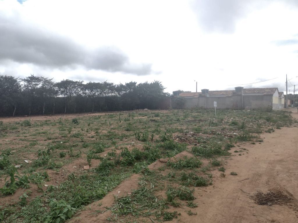 Imagens do imóveis Terreno à venda, 200 m² por R$ 12.000,00 - Miracica - Garanhuns/PE