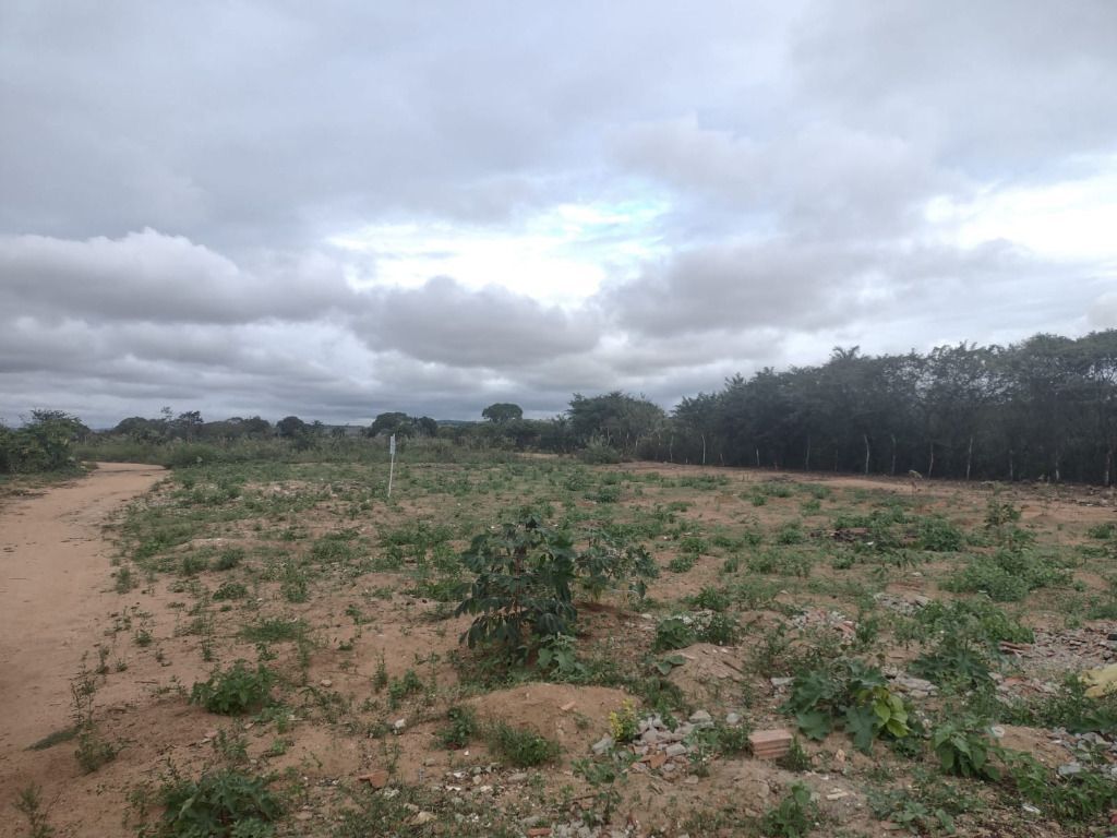 Imagens do imóveis Terreno à venda, 200 m² por R$ 12.000,00 - Miracica - Garanhuns/PE