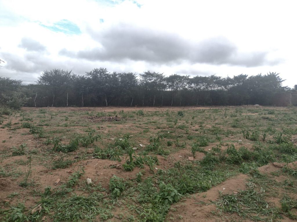 Imagens do imóveis Terreno à venda, 200 m² por R$ 12.000,00 - Miracica - Garanhuns/PE