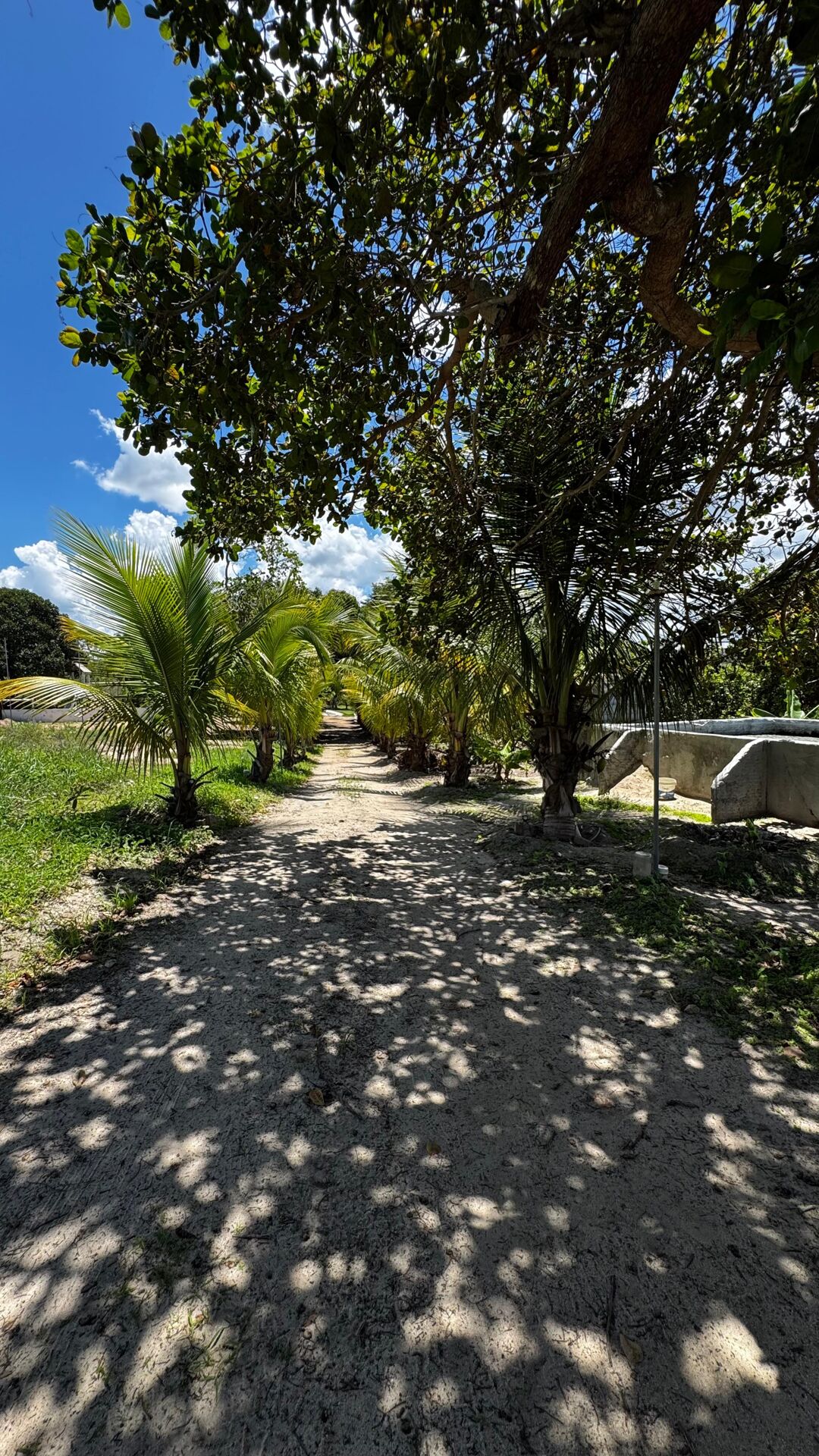 Imagens do imóveis Chácara à 30 minutos Garanhuns-PE Miracica por R$660.000,00