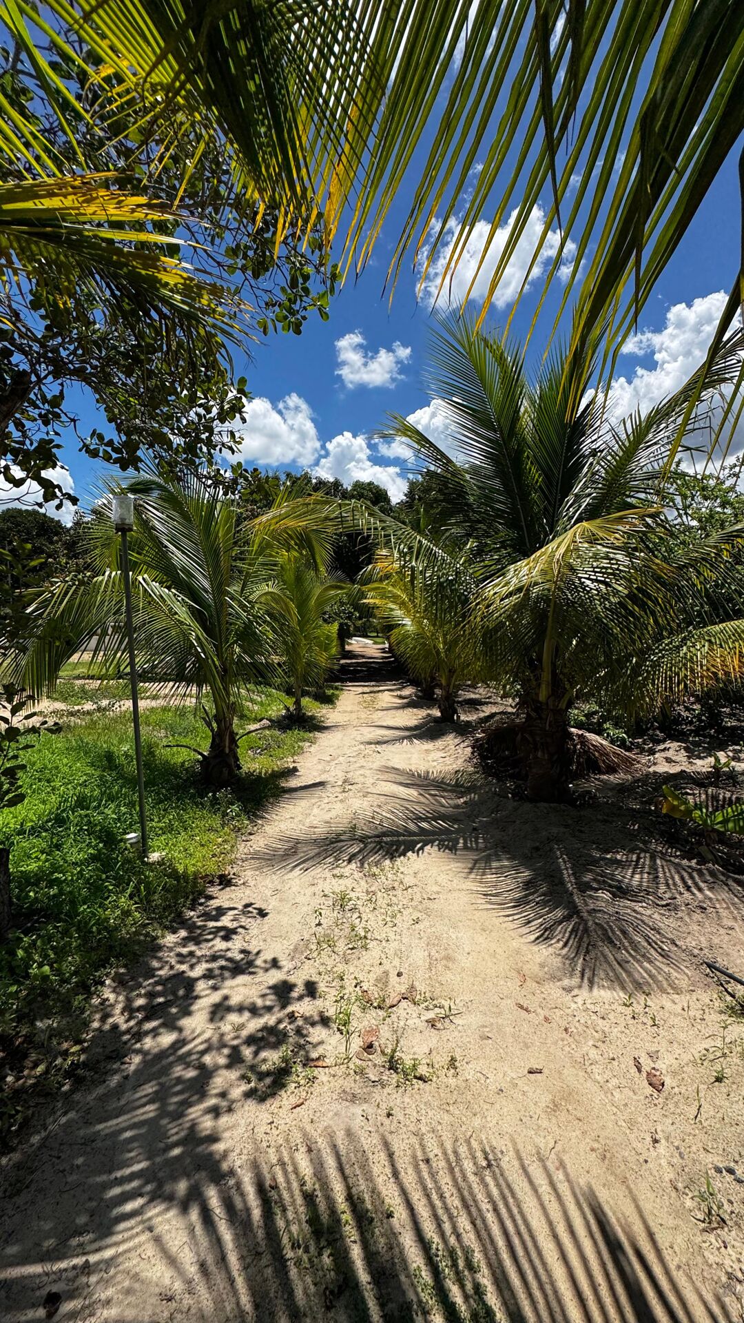 Imagens do imóveis Chácara à 30 minutos Garanhuns-PE Miracica por R$660.000,00