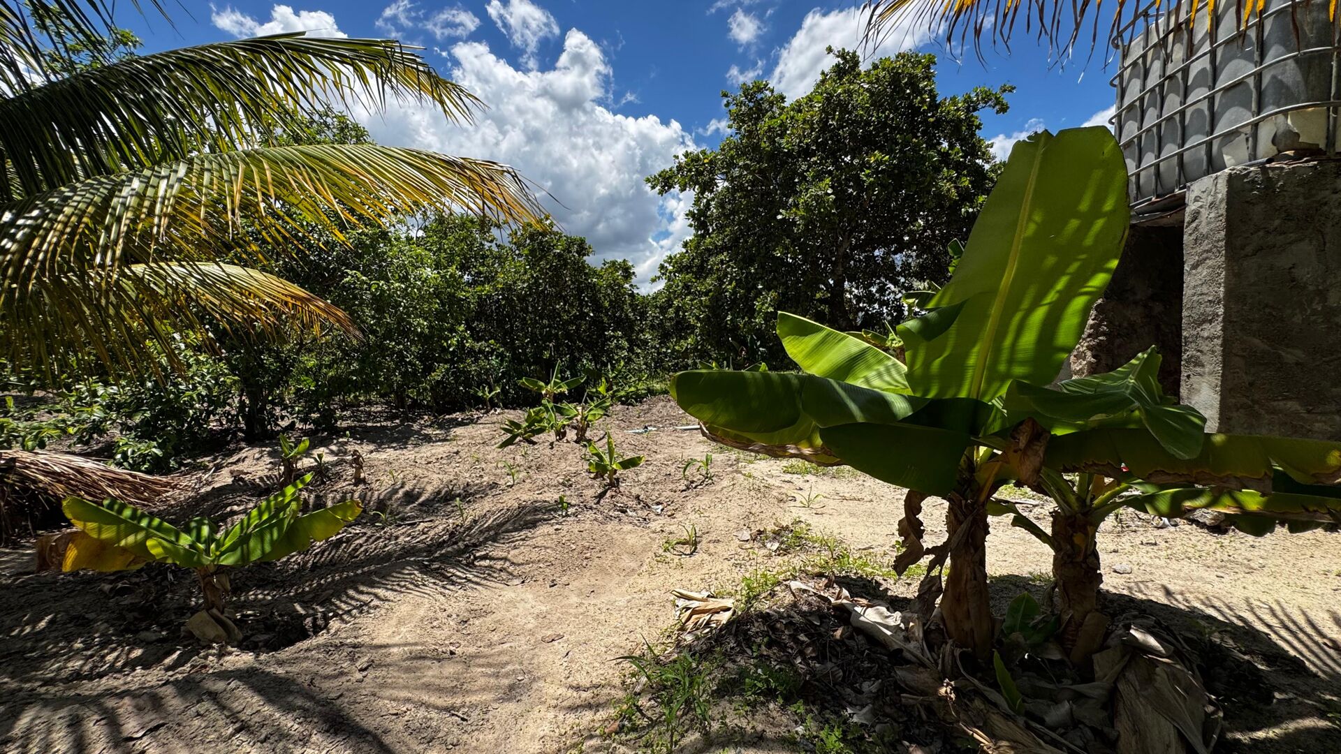 Chácara à 30 minutos Garanhuns-PE Miracica por R$660.000,00