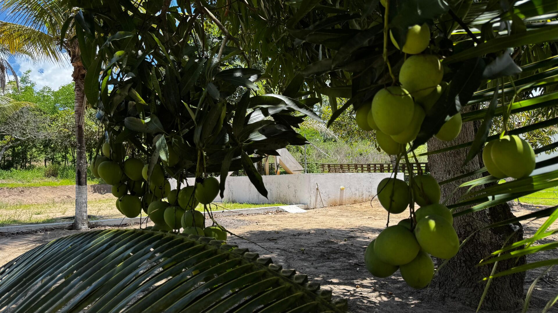 Chácara à 30 minutos Garanhuns-PE Miracica por R$660.000,00