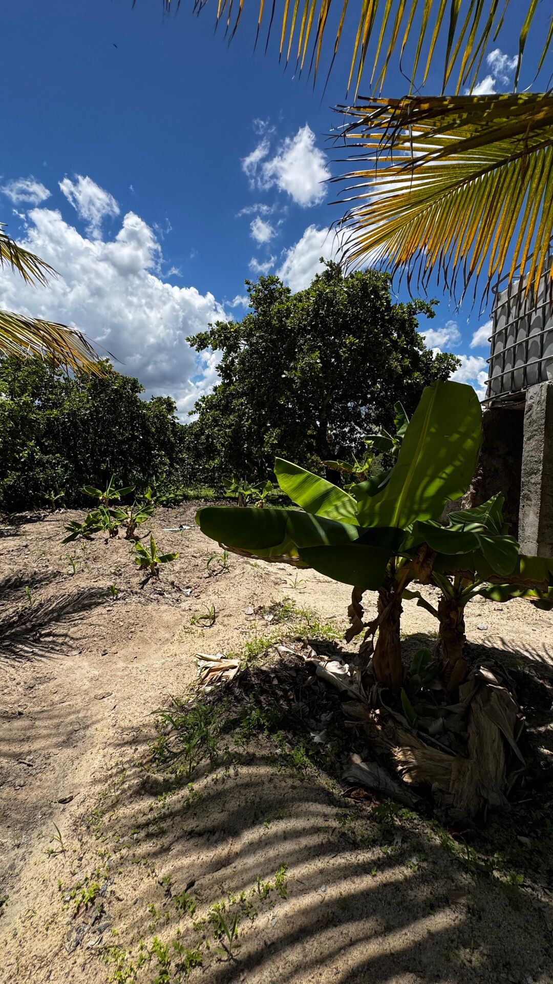 Chácara à 30 minutos Garanhuns-PE Miracica por R$660.000,00