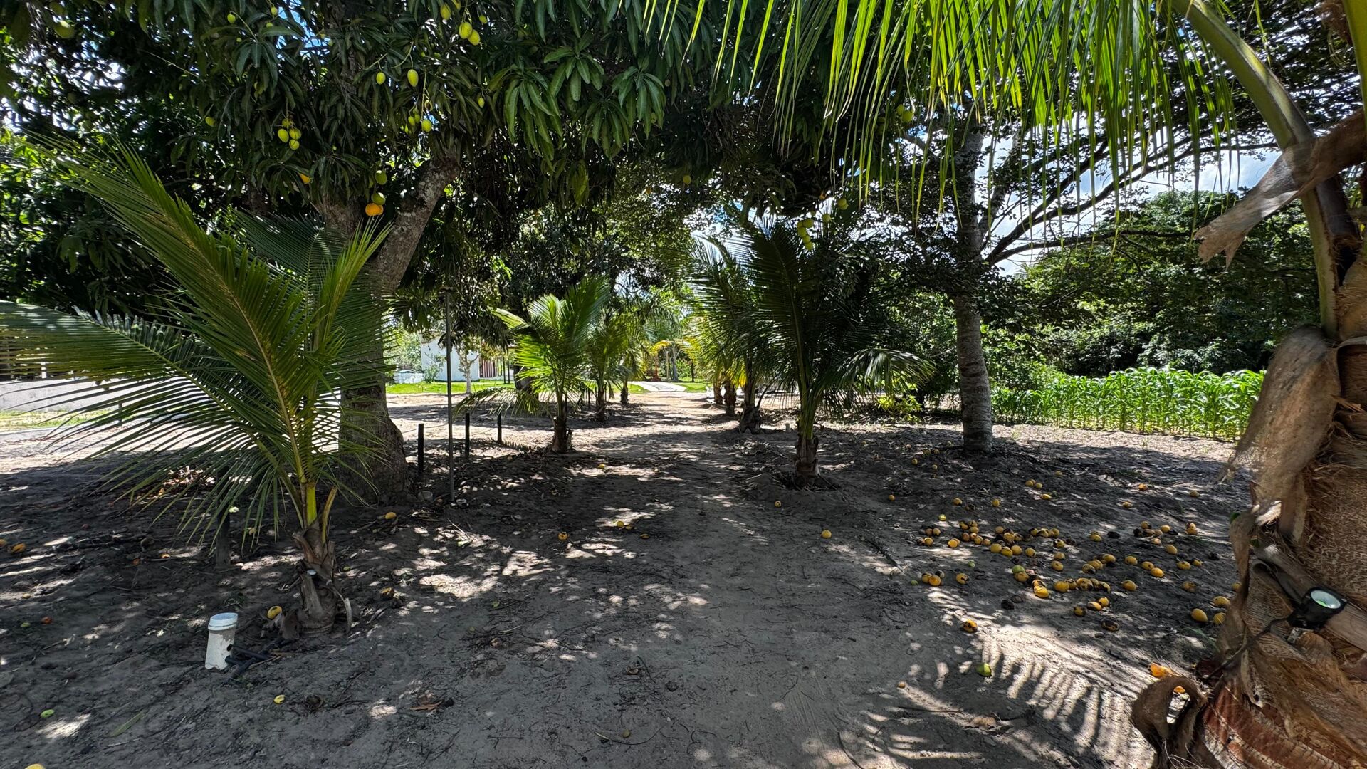 Chácara à 30 minutos Garanhuns-PE Miracica por R$660.000,00