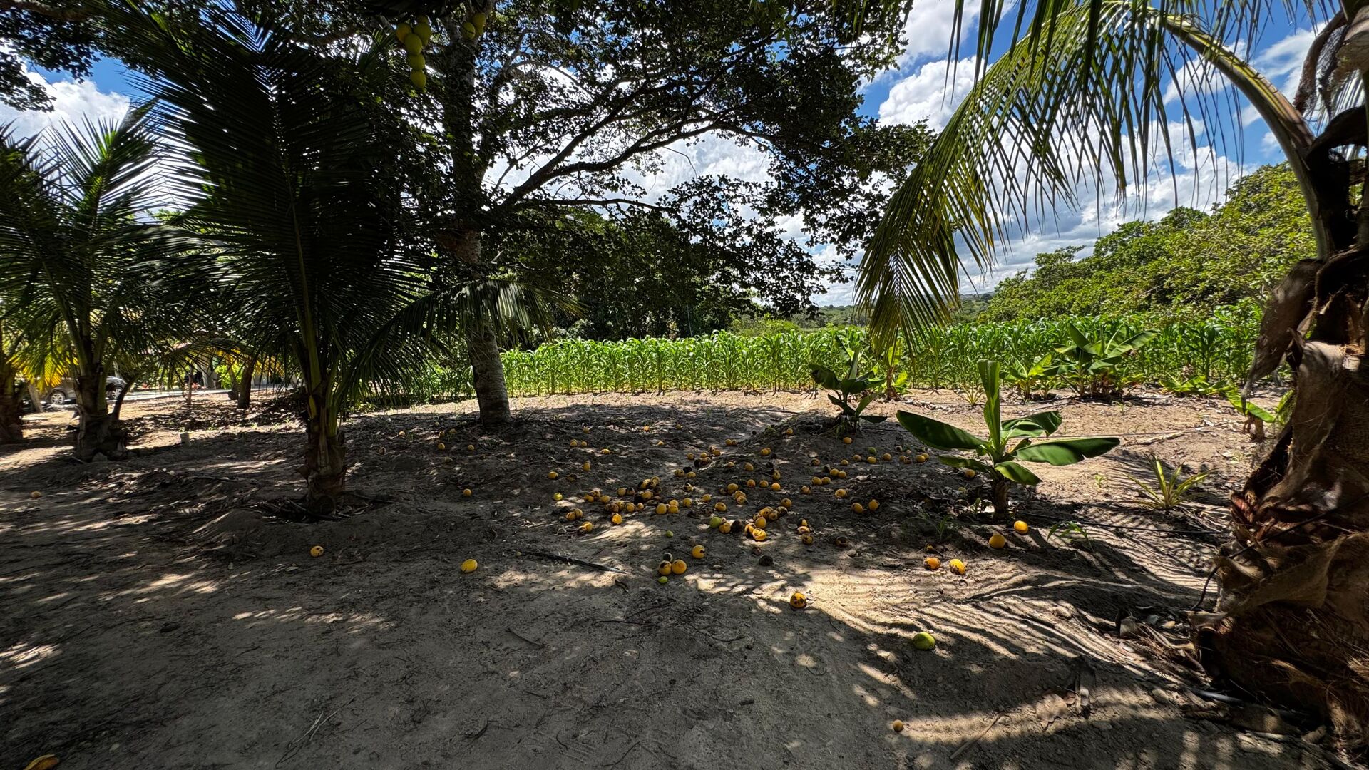 Chácara à 30 minutos Garanhuns-PE Miracica por R$660.000,00