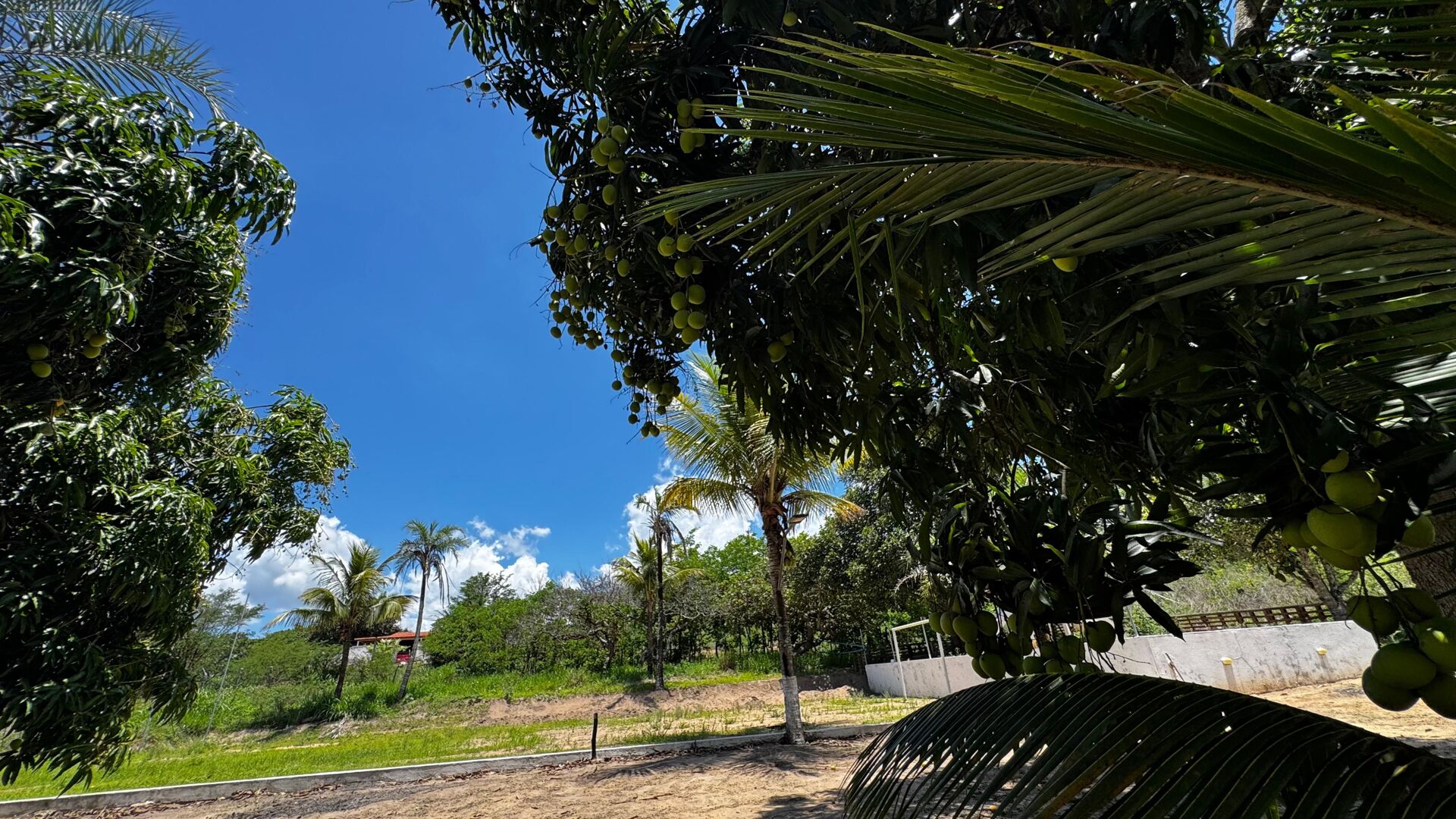 Chácara à 30 minutos Garanhuns-PE Miracica por R$660.000,00