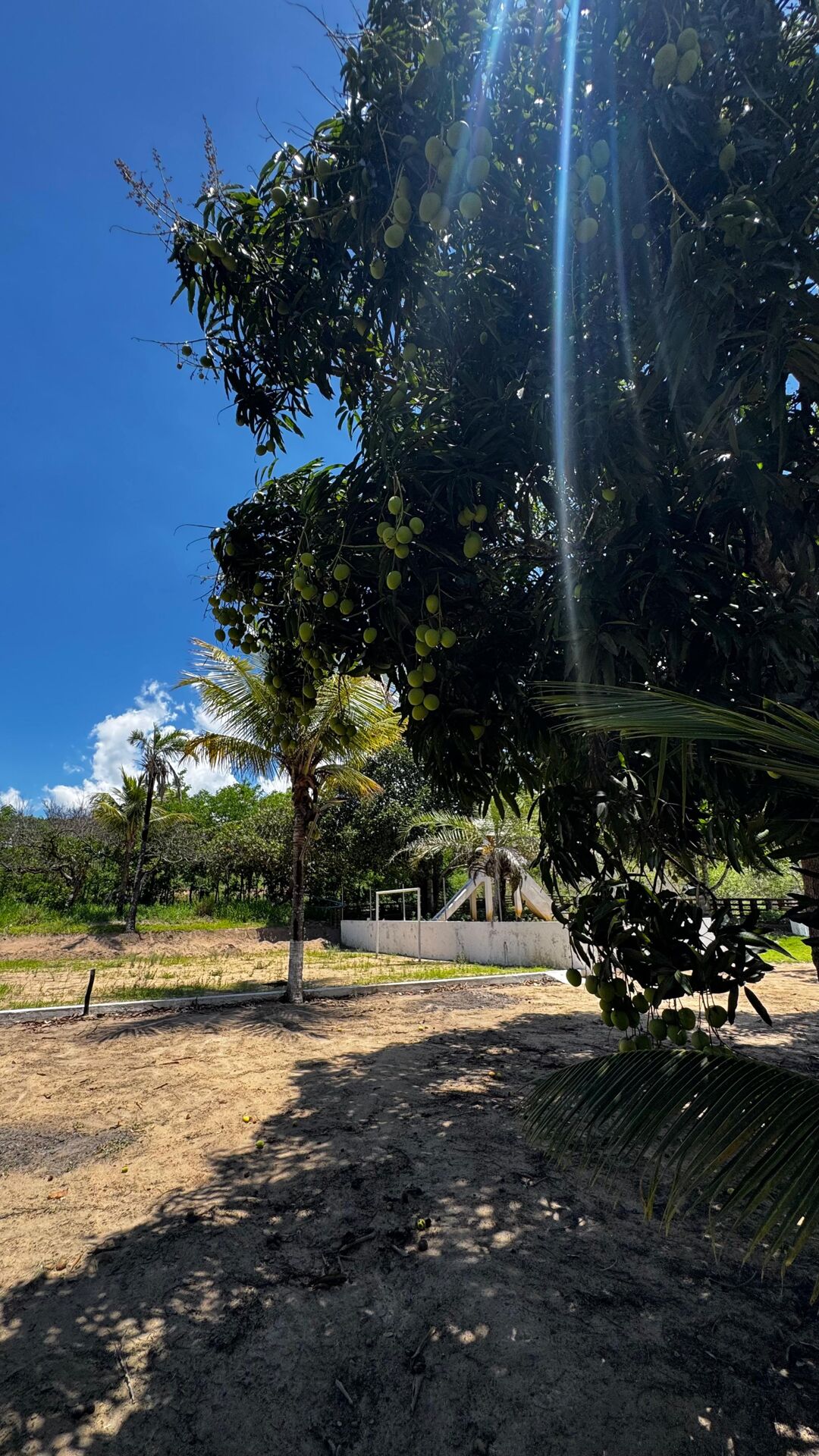 Chácara à 30 minutos Garanhuns-PE Miracica por R$660.000,00