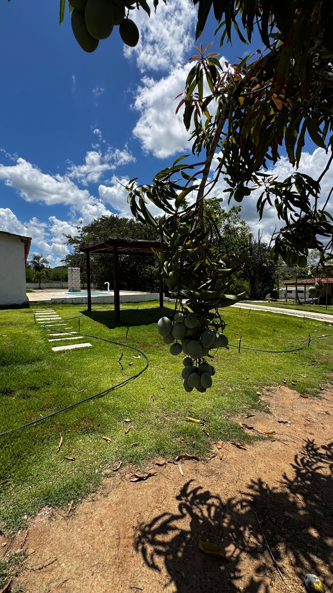 Chácara à 30 minutos Garanhuns-PE Miracica por R$660.000,00