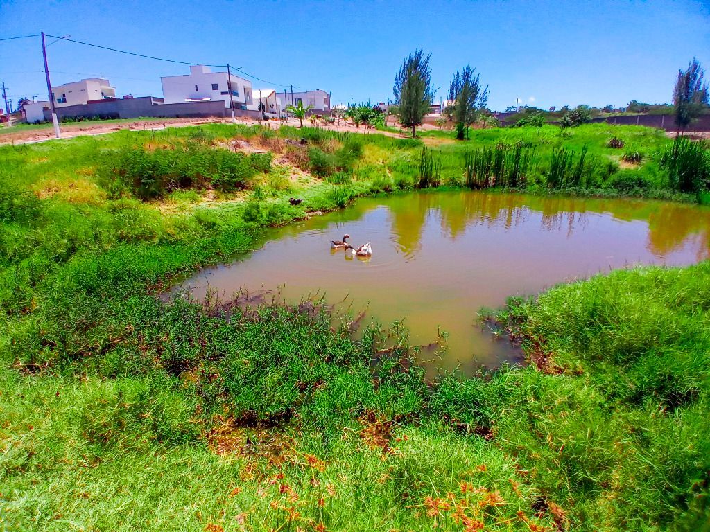 Imagens do imóveis Terreno à venda, 480 m² por R$ 160.000,00 - Condomínio Morada Nobre - Garanhuns/PE