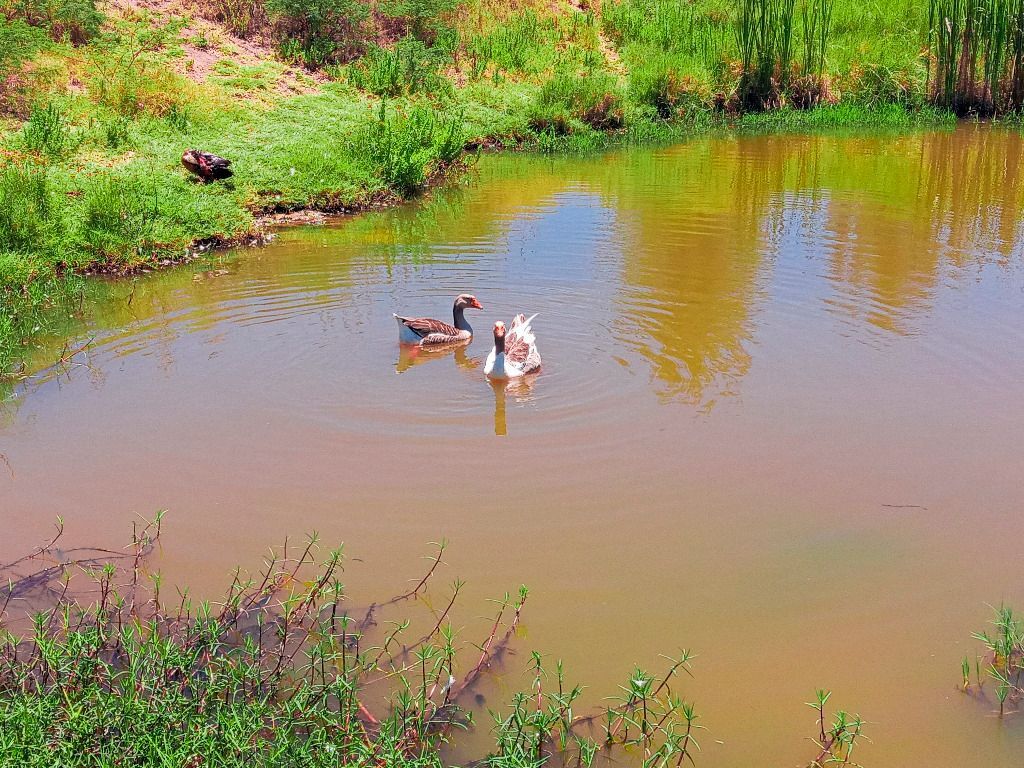 Imagens do imóveis Terreno à venda, 480 m² por R$ 160.000,00 - Condomínio Morada Nobre - Garanhuns/PE