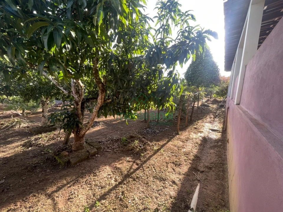 Imagens do imóveis Chácara à venda brejinho apenas 7 km da Duque de Caxias