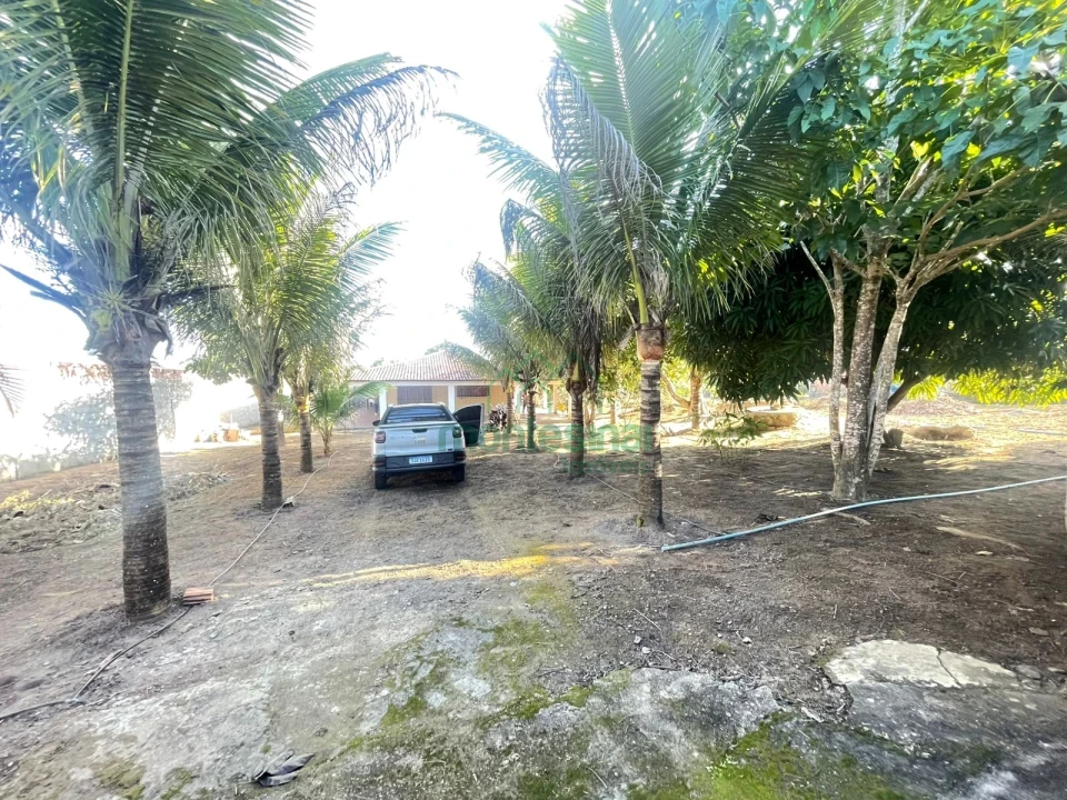 Imagens do imóveis Chácara à venda brejinho apenas 7 km da Duque de Caxias