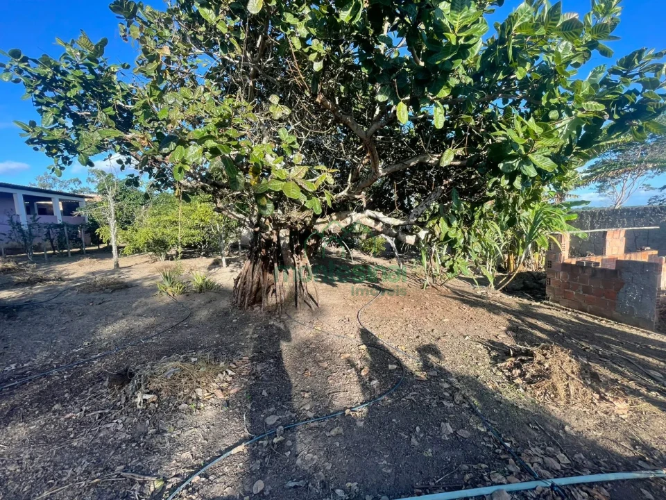 Imagens do imóveis Chácara à venda brejinho apenas 7 km da Duque de Caxias